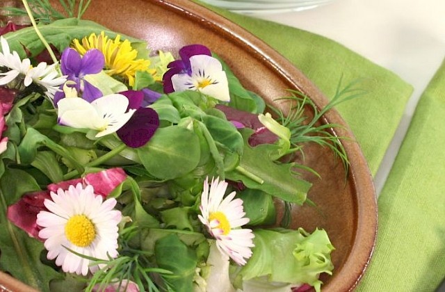 Wildkräutersalat mit gerösteten Pinienkernen